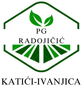 IVANJIČKI KROMPIR