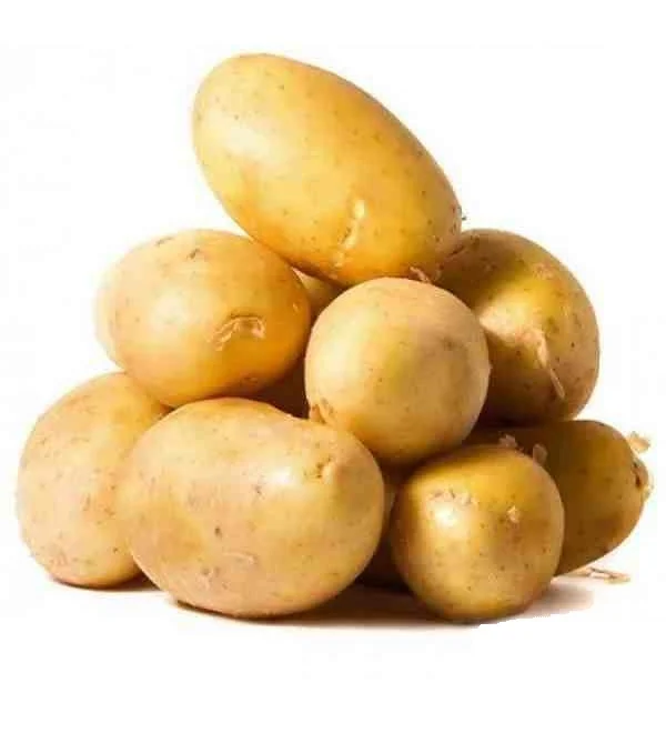 Agrija